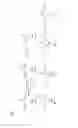 Fig. 05 - MultiLigand agent for drug delivery