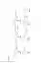 Fig. 06 - MultiLigand agent for drug delivery