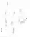 Fig. 17 - MultiLigand agent for drug delivery