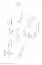 Fig. 19 - MultiLigand agent for drug delivery