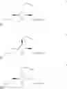 Fig. 33 - MultiLigand agent for drug delivery