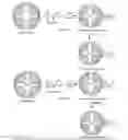 Fig. 03 - Injectable dendrimer hydrogel nanoparticles