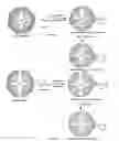 Fig. 04 - Injectable dendrimer hydrogel nanoparticles