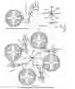 Fig. 06 - Injectable dendrimer hydrogel nanoparticles