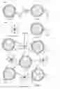 Fig. 10 - Injectable dendrimer hydrogel nanoparticles