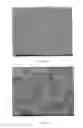 Fig. 25 - Injectable dendrimer hydrogel nanoparticles