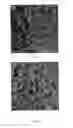Fig. 27 - Injectable dendrimer hydrogel nanoparticles