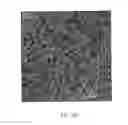Fig. 28 - Injectable dendrimer hydrogel nanoparticles