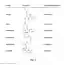 Fig. 04 - Targeted Drug Conjugates