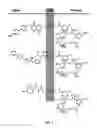 Fig. 05 - Targeted Drug Conjugates