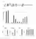 Fig. 02 - Methods and compositions for RNA-directed repression of transcription using CRISPR-associated genes