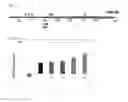 Fig. 09 - Methods and compositions for RNA-directed repression of transcription using CRISPR-associated genes