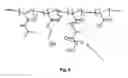 Fig. 06 - Biodegradable, thermally responsive injectable hydrogel for treatment of ischemic cardiomyopathy