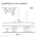 Fig. 20 - Biodegradable, thermally responsive injectable hydrogel for treatment of ischemic cardiomyopathy