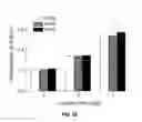 Fig. 25 - Biodegradable, thermally responsive injectable hydrogel for treatment of ischemic cardiomyopathy