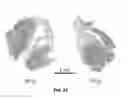 Fig. 26 - Biodegradable, thermally responsive injectable hydrogel for treatment of ischemic cardiomyopathy