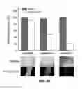 Fig. 31 - Biodegradable, thermally responsive injectable hydrogel for treatment of ischemic cardiomyopathy