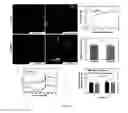 Fig. 05 - COMPOSITIONS AND METHODS FOR SURFACE MINERALIZATION