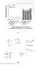 Fig. 09 - COMPOSITIONS AND METHODS FOR SURFACE MINERALIZATION