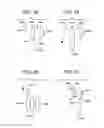 Fig. 12 - Systems, apparatuses and methods to encourage injection site rotation and prevent lipodystrophy from repeated injections to a body area