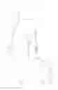 Fig. 02 - Mobile Work Stress Relief