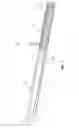 Fig. 02 - Kink-resistant guidewire with improved rigidity