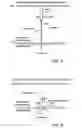 Fig. 04 - Implantable fluid delivery apparatus and implantable electrode