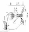 Fig. 02 - Dipole electrical stimulation employing direct current for recovery from spinal cord injury