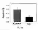 Fig. 06 - Dipole electrical stimulation employing direct current for recovery from spinal cord injury