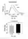 Fig. 11 - Dipole electrical stimulation employing direct current for recovery from spinal cord injury