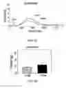 Fig. 12 - Dipole electrical stimulation employing direct current for recovery from spinal cord injury