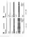 Fig. 23 - Dipole electrical stimulation employing direct current for recovery from spinal cord injury