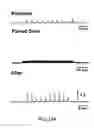 Fig. 32 - Dipole electrical stimulation employing direct current for recovery from spinal cord injury