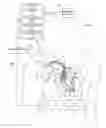 Fig. 01 - Combination of feedback on mechanical and electrical resynchronization to select therapy parameters