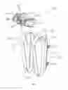 Fig. 02 - Hydration respiration apparatus