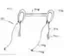 Fig. 06 - Multi-purpose fitness device