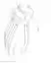 Fig. 09 - Resistance training system