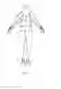 Fig. 19 - Resistance training system