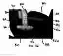 Fig. 35 - Resistance training system
