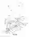 Fig. 40 - Weight lifting bench
