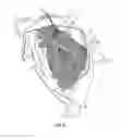 Fig. 06 - SCENT EFFUSING DEVICES