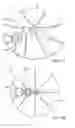 Fig. 14 - WATER FILTER AND MANIFOLD