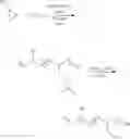 Fig. 06 - Hydrophilic porous polytetrafluoroethylene membrane (II)