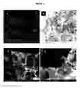 Fig. 05 - PACKING MATERIAL COMPRISING STARCH-MODIFIED POLYURETHANE FOR THE BIOFILTRATION OF ORGANIC COMPOUNDS PRESENT IN GASEOUS OR LIQUID EFFLUENTS, PRODUCTION METHODS THEREOF AND BIOFILTRATION SYSTEM