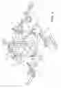 Fig. 06 - PROCESS & ASSEMBLY FOR FORMING A PLASTIC SKIN ON A 3D TEMPLATE SURFACE