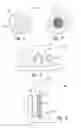 Fig. 06 - Method for additively manufacturing composite parts