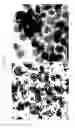 Fig. 08 - Semiconductor device