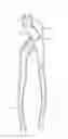 Fig. 01 - ADJUSTABLE PLIERS