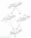 Fig. 01 - Autonomous robot using data captured from a living subject