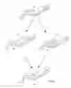 Fig. 10 - Autonomous robot using data captured from a living subject